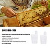 King Cage Transport Box with 20Pcs Queen Bee Rearing Cages