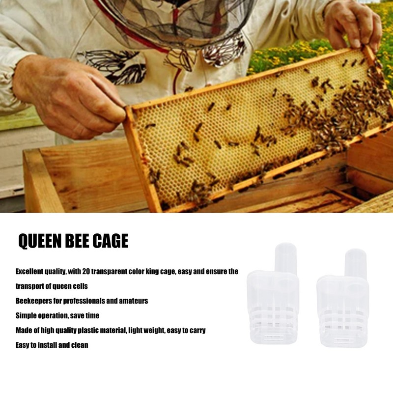 King Cage Transport Box with 20Pcs Queen Bee Rearing Cages