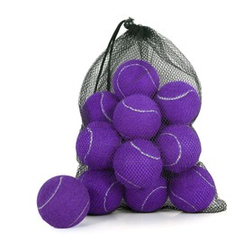 MRYCZ FYRHD 24 Pack Tennis Balls, Training Tennis Balls, Pet Dog Playing Balls, Practice Tennis Balls with Mesh Bag for Transport and Beginner Training