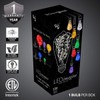 Wintergreen Lighting LEDimagine Fairy String Light Bulb Fairy Lights, LED