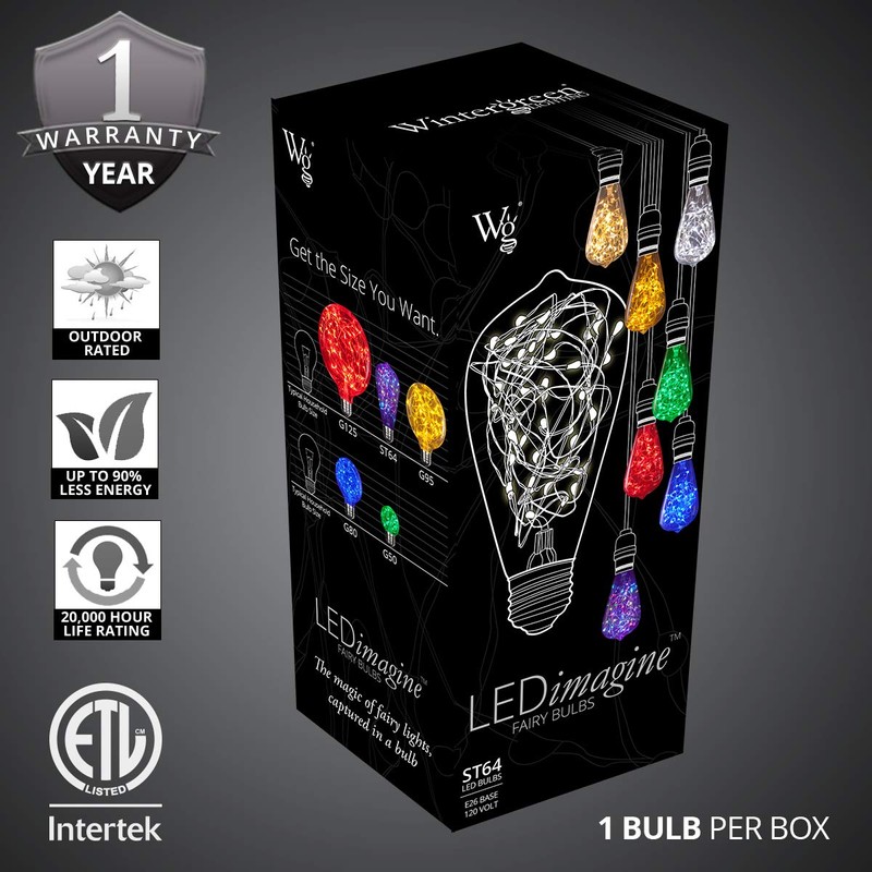 Wintergreen Lighting LEDimagine Fairy String Light Bulb Fairy Lights, LED