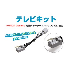 Honda Gathers Connector Kit for TV Viewing While Driving