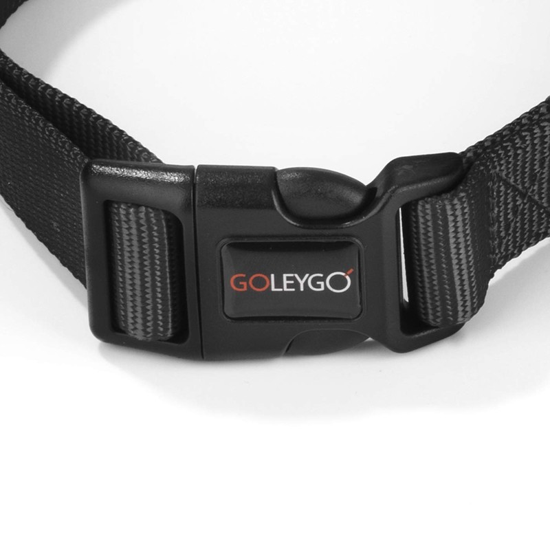 GoLeyGo Dog Lead with Collar, Black, Size L, Pack of