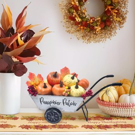 Teeloray Fall Pumpkin Decor Farmhouse Metal Wheelbarrow with Fake Pumpkins Berries Autumn Leaves Fall Tiered Tray Decor Autumn Harvest Pumpkin Wagon Cart Thanksgiving Centerpieces for Tables, White