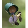 Hanging Flutter Butter Feeder For Garden and Wild Birds -
