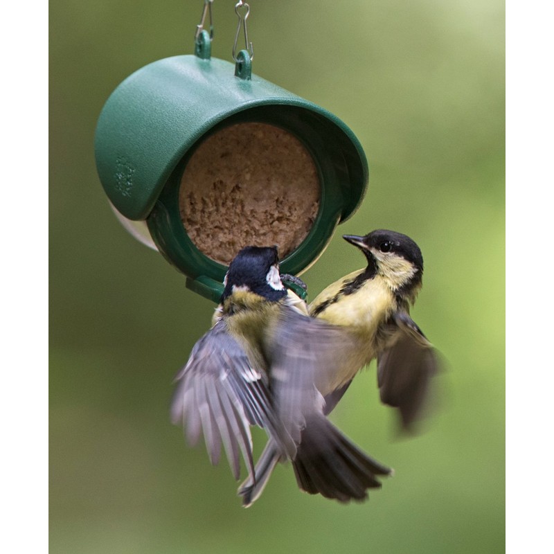 Hanging Flutter Butter Feeder For Garden and Wild Birds -