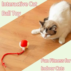 KoovDem Automatic Cat Toys for Indoor Cats Interactive Dog & Cat Toy for Bored Indoor Adult Cats Kitten Toys Speedy Tail 2.0 Cat Ball Toy 2025 New Smart Rolling Ball