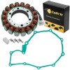 Celox Stator & Gasket for Honda VT600C VT-600C Shadow 600