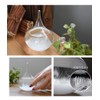 Storm Glass, Weather Forecast, Crystal, Object, Changing Expressions Depending on