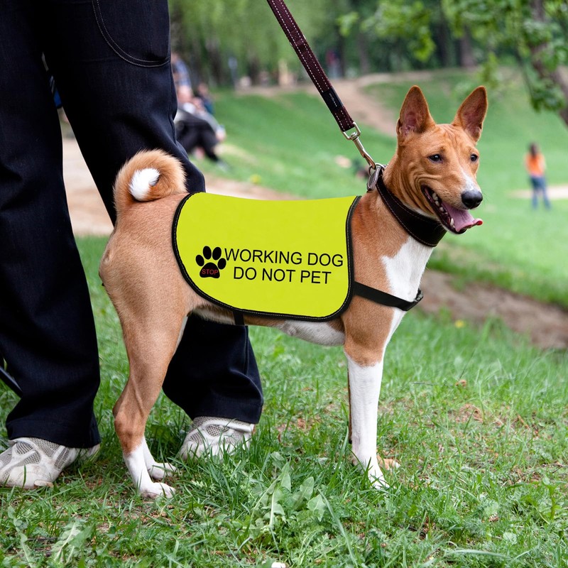 Working Dog Jacket Vest Do Not Pet Dog Vest Dog
