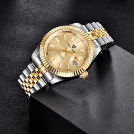 Pagani Design Men's Automatic Watch Japanese Automatic Movement Classic Watch Sapphire Glass 100 Metres Waterproof Luminous Business Men's Watch, All Gold, Classic