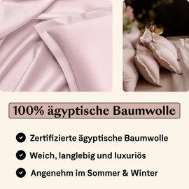 Amqua Satin Cushion Cover, 40 x 60 cm (Set of 2), Light Pink, Egyptian Cotton with Zip, Mako Satin Pillow Cover, Cushion Cover