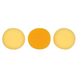Painting Sponge Set of 3