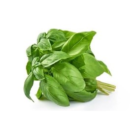 Lemon BASIL, Dried Organic Lemon Basil, 8 vol. oz. Pouch, Culinary Spice, Cooking, Marinating, Baking, Chef Choice (Lemon Basil) Picked fresh and Dried