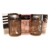 Circleware Honey Bee Mason Jar Mug Glass Salt and Pepper