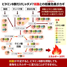 ビタミンB群+核酸 シナジーミックス【90粒入】3袋「ナイアシン」「核酸」強化配合/B1,B2,B6,B12/栄養のプロがプロデュース・おすすめのサプリ