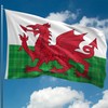 Welsh Flag Tartan - Wales Flag - Wales Dragon -