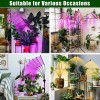 KEELIXIN 5 Head Spectrum Grow Light with Adjustable Stand and
