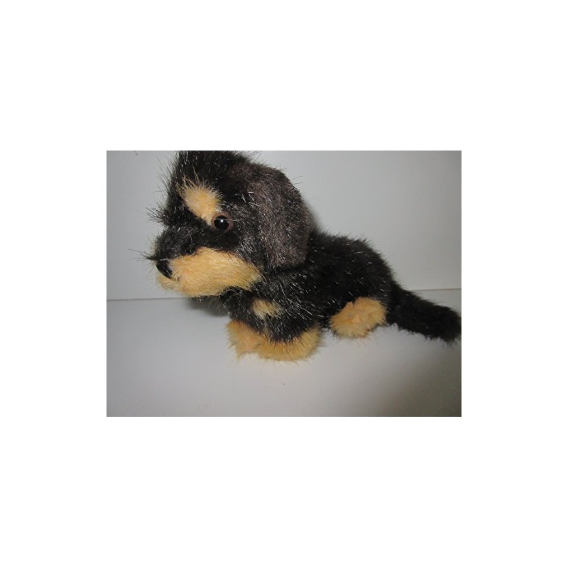 Förster Stofftiere Sylviculteurs 5506 Rough Hair Dachshund Mini 15 cm
