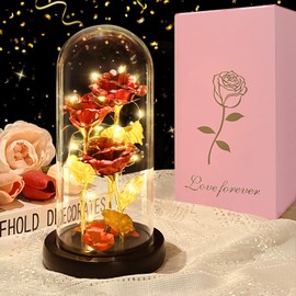 DOUUCO Ewige Rose im Glas, Die Schöne und Das Biest LED Licht Rosen im Glaskuppel Glitzer Rosen Geburtstags Geschenk für Frauen, Mama, Freundin, Muttertagsgeschenk Weihnachten