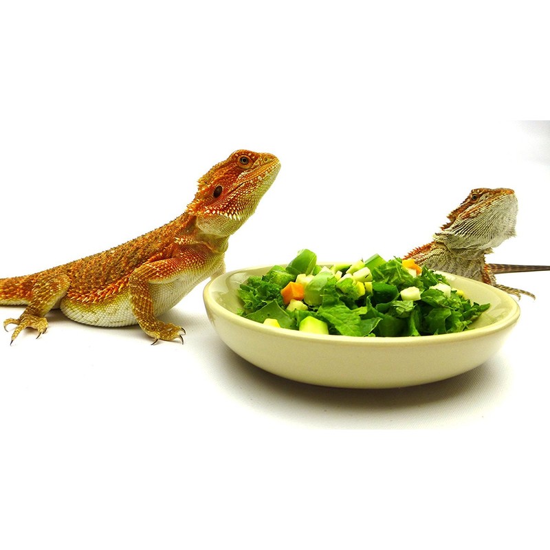 Carolina Reptile Veggie Chopper