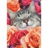 Avanti Press Smiling Gray and White Cat Face Inside Pink