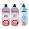 Organist Himalayan Pink Salt Body Wash 900ml*3 (Purifying Rose*2 + Forest Mint*1), 1 / 오가니스트 히말라야 핑크솔트 바디워시 900*3개 ( 퓨리파잉로즈*2개 + 포레스트민트*1개), 1개