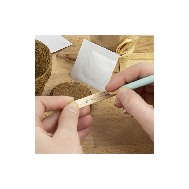 Gift Republic Ltd Grow Me Snowman, Multi