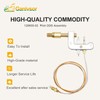 Ganivsor 120630-02 Pilot ODS for Desa Glo-Warm Vent Free Propane