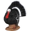 Delta McKenzie Strutter Turkey, Black