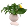 Face Flower Pot with 3 Shovels Drainage Hole Design Resin