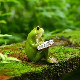 XRI XURUOYI Miniature Small Frog Reading Book,Rabbit Reading Book with Bird，Animal Figurines Fairy Garden Supplies Terrarium Accessories DIY Miniature Garden (Frog Reading)