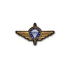 Copytec Embroidered EMFV Parachute Jumper Badge Paratrooper #42690