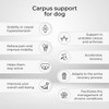 Ortocanis - Carpal Support for Dogs with Arthrosis, Ligament Injuries