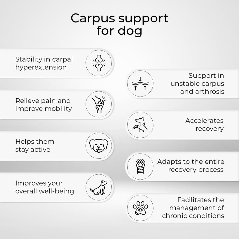 Ortocanis - Carpal Support for Dogs with Arthrosis, Ligament Injuries