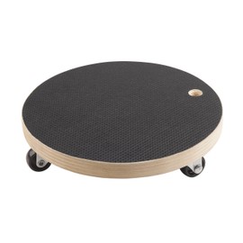 Transport Roller Ø 200 mm, 100 kg, Coated plywood, PP