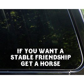 If You Want A Stable Friendship Get A Horse - 8-1/2" x 2" - Vinyl Die Cut Decal/Bumper Sticker for Windows, Cars, Trucks, Laptops, Etc.
