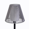 Ceybo 61.5 in. Outdoor/Indoor Floor Lamp in Gray and Black