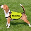 In Training Please Don't Approach/Ask Before Petting Me Dog Jacket