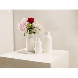 Hanaomaoyi White Ceramic Flower Vase, Pampas Grass Small Vase for Decor, Dining Table, Shelf Decor, Mantel, Entry Decor and Centerpieces, Minimalist Modern, Bohemian (White, L+M+S)