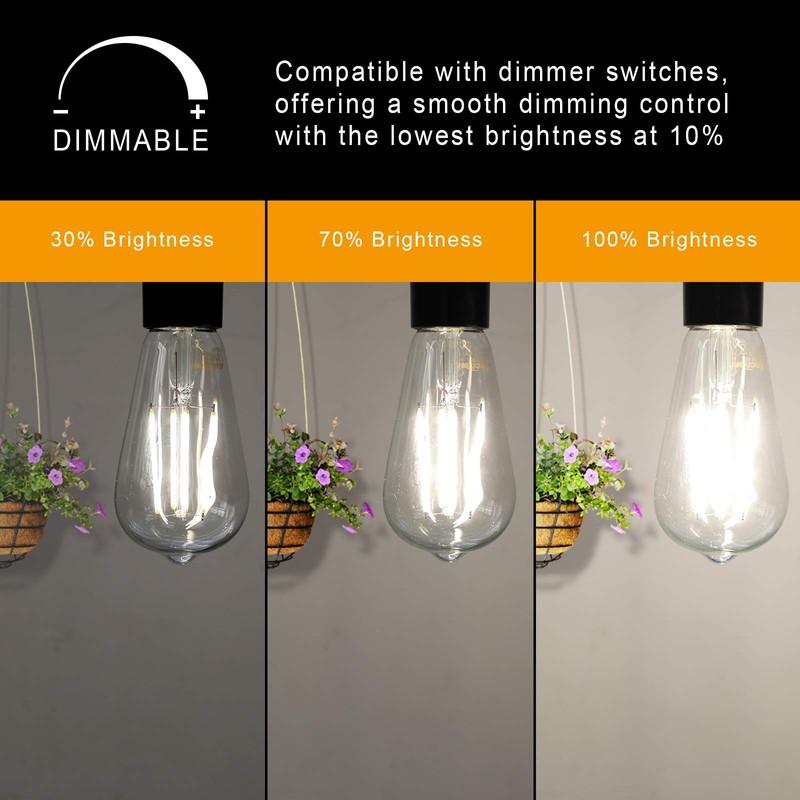 Ascher Dimmable Vintage LED Edison Bulbs, 6W, Equivalent 60W, Bright