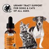 Animal Essentials Tinkle Tonic - Dog & Cat Urinary Tract