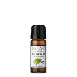 Lily & Loaf Clove Bud Organic Essential Oil (Eugenia caryophyllata) | 100% Pure & Natural | 10ml