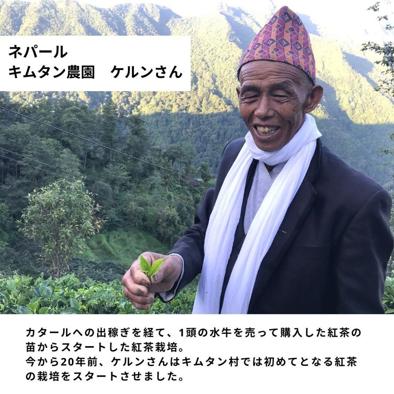 Wind Farm Forest Farming Kimtan Tea Leaf from Nepal, 3.5