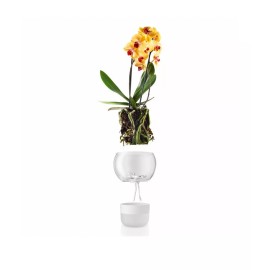 Eva Solo orchid pot planter flower pot self-watering irrigating glass bowl 15cm