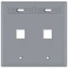 Leviton 2-Port Dual Gang QuickPort Wallplate with ID Windows, 42080-2GP,