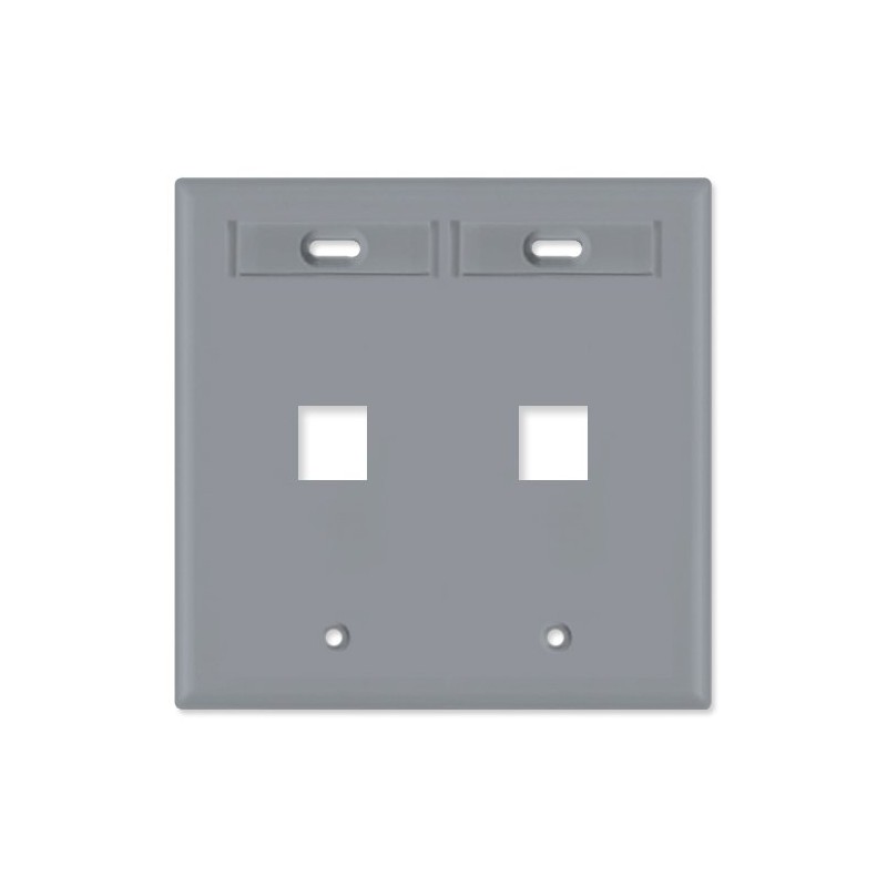 Leviton 2-Port Dual Gang QuickPort Wallplate with ID Windows, 42080-2GP,