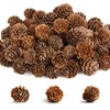 150 Pcs Christmas Natural Mini Pine Cones, 1.2"- 2" Small Pinecones Ornaments for DIY Crafts, Vase Fillers, Fall and Xmas Decorations, Wedding Decor