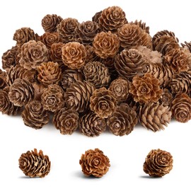 150 Pcs Christmas Natural Mini Pine Cones, 1.2"- 2" Small Pinecones Ornaments for DIY Crafts, Vase Fillers, Fall and Xmas Decorations, Wedding Decor