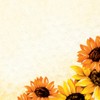 SIGEL DP129 Sunflower Design Paper 90g A4 50 Sheets Sustainable